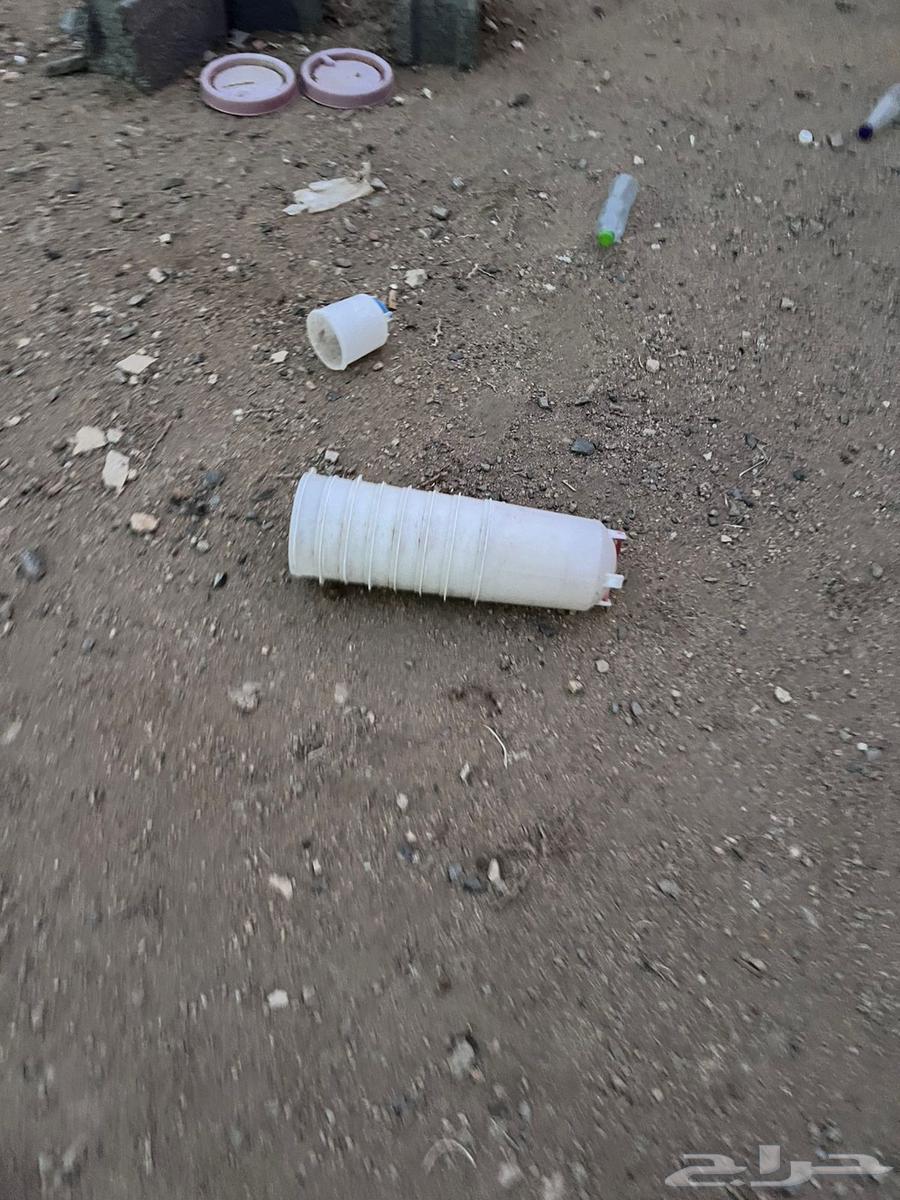 للبيع مسلتزمات دواجن64244076273538113