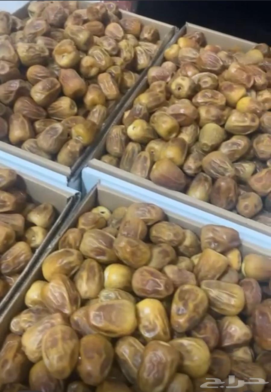 Abu Omar Dates64252480643331112