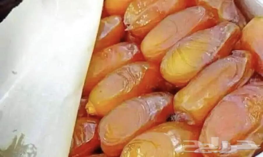 تمر دقلة نور الجزائري64245481588227110