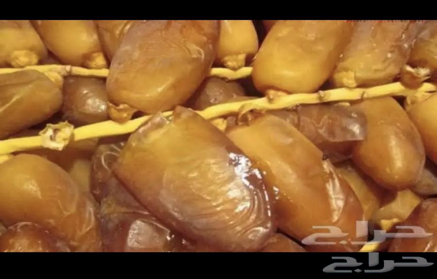 تمر دقلة نور الجزائري64245481588227111