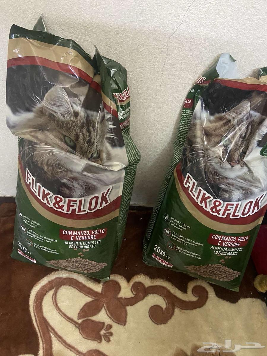 الكل قطط لبيع ومستلزمات قطط64252314140163110