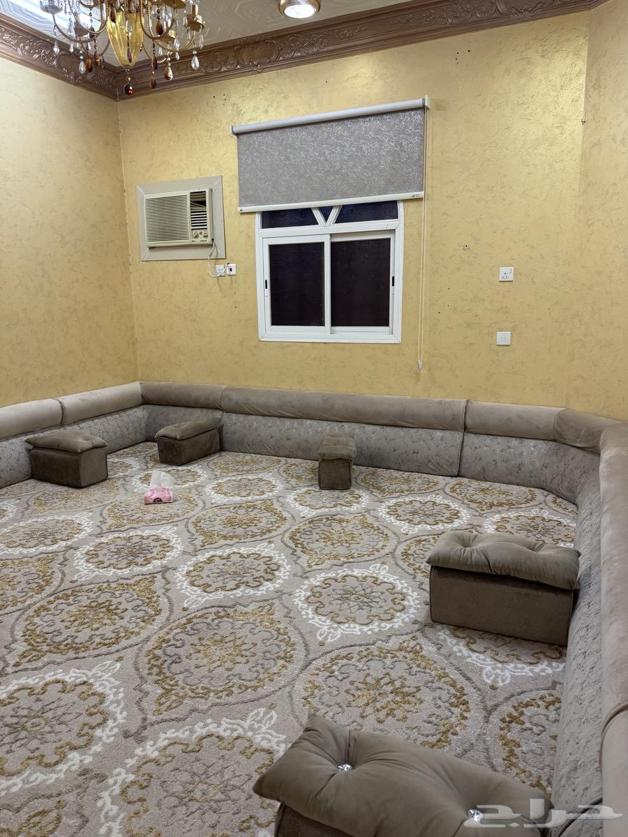 مسند نظيفة رجال كفو جدا64251879471746110