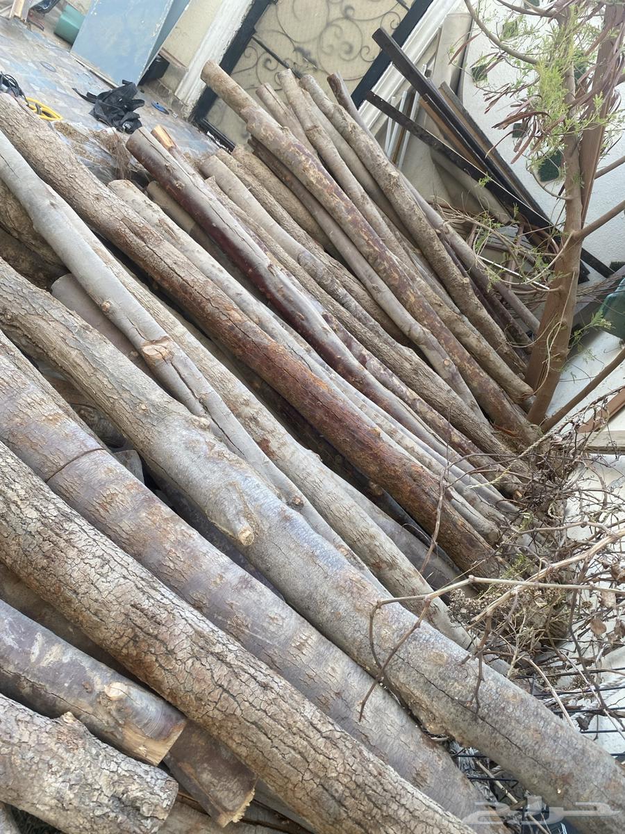 اثل للبناء التراثي64236458607235113