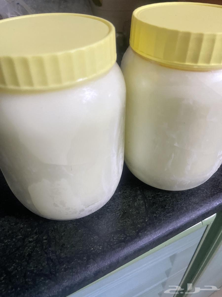 سمن غنم بري لذيذ ربيع هالسنه64231839493506110