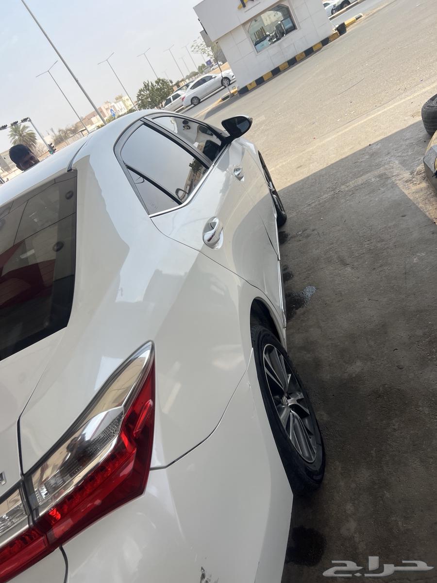 كورله نص فل بصمه201764412588821761114