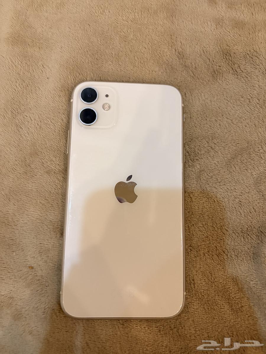iPhone 11 Regular White Color64242629565826110