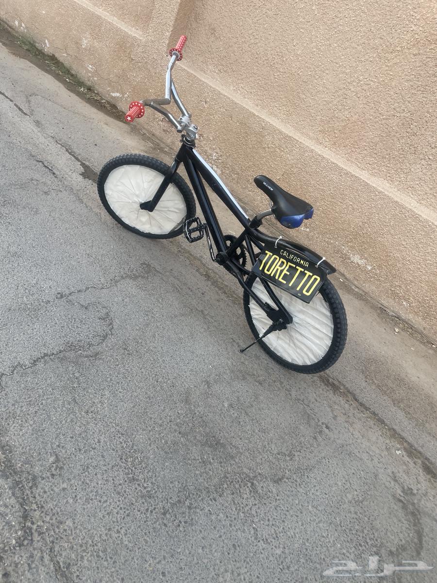 Original Cobra size 2064241253777155112