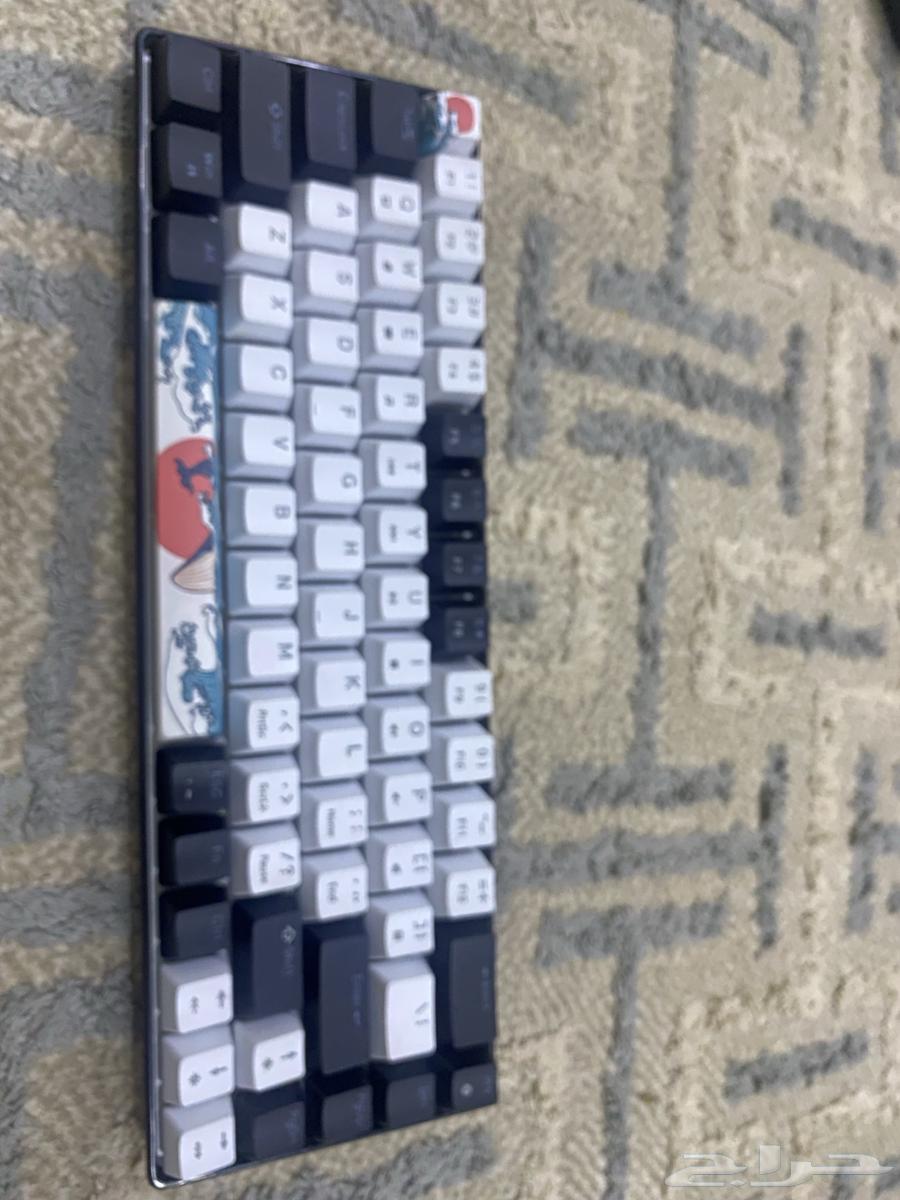 كيبورد للبيع64252314415617112