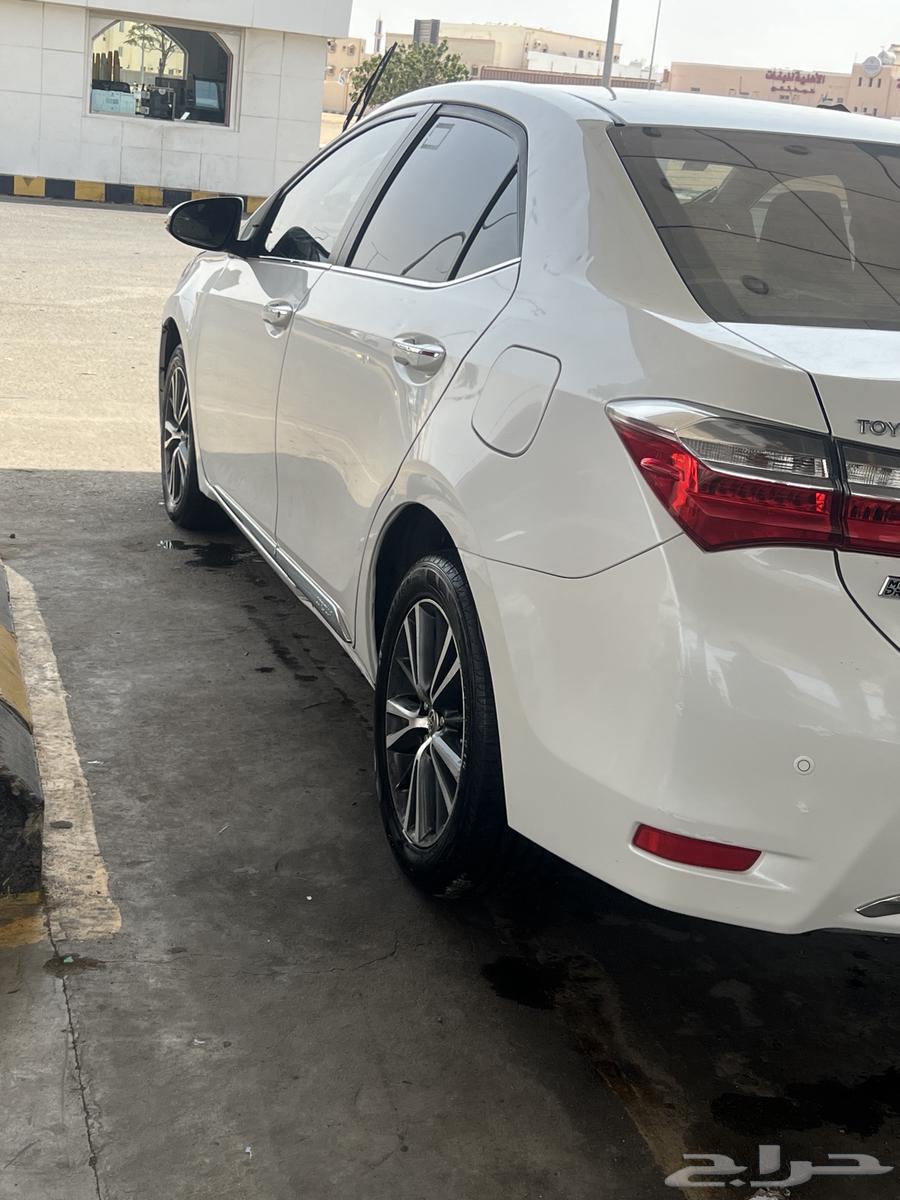 كورله نص فل بصمه201764412588821761113