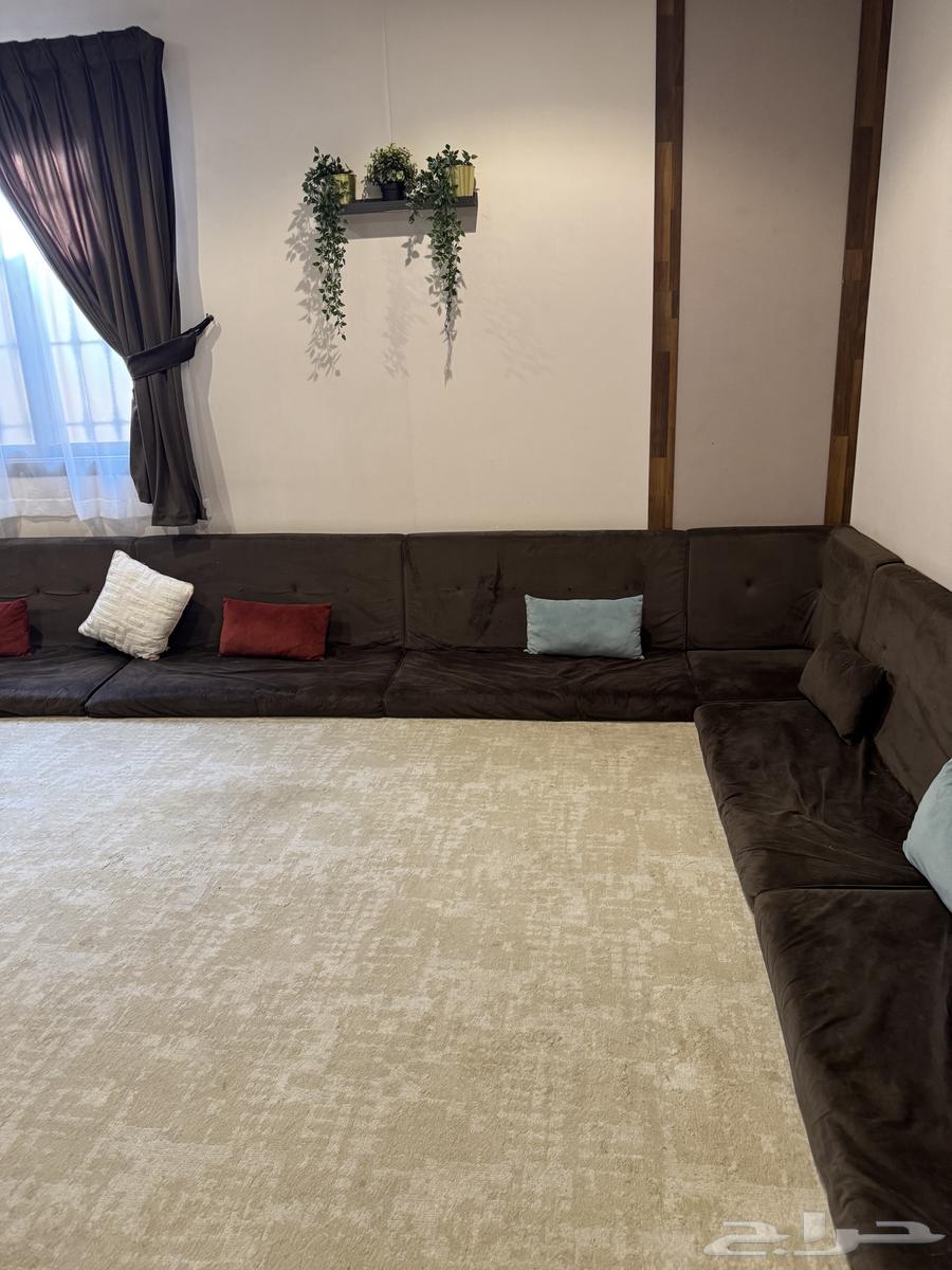 Floor Set64237286766977113