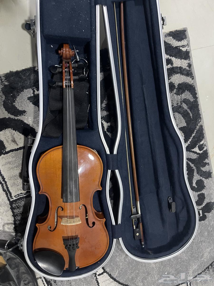 Violin64249424919169112