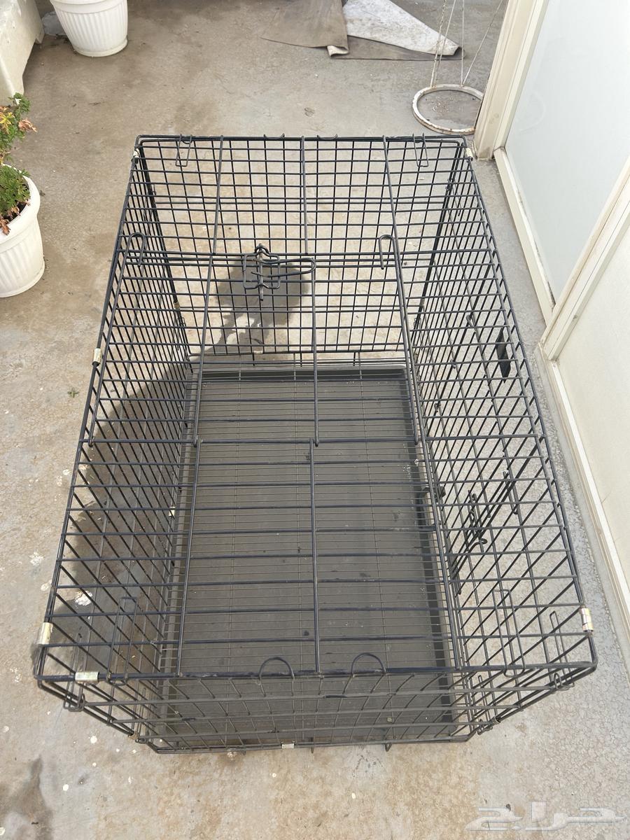 شبك حيوانات64237727098370110