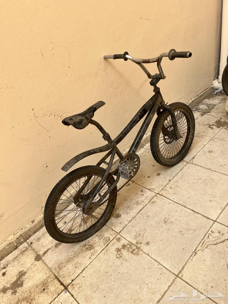 Cyclone Cobra64245797820162110