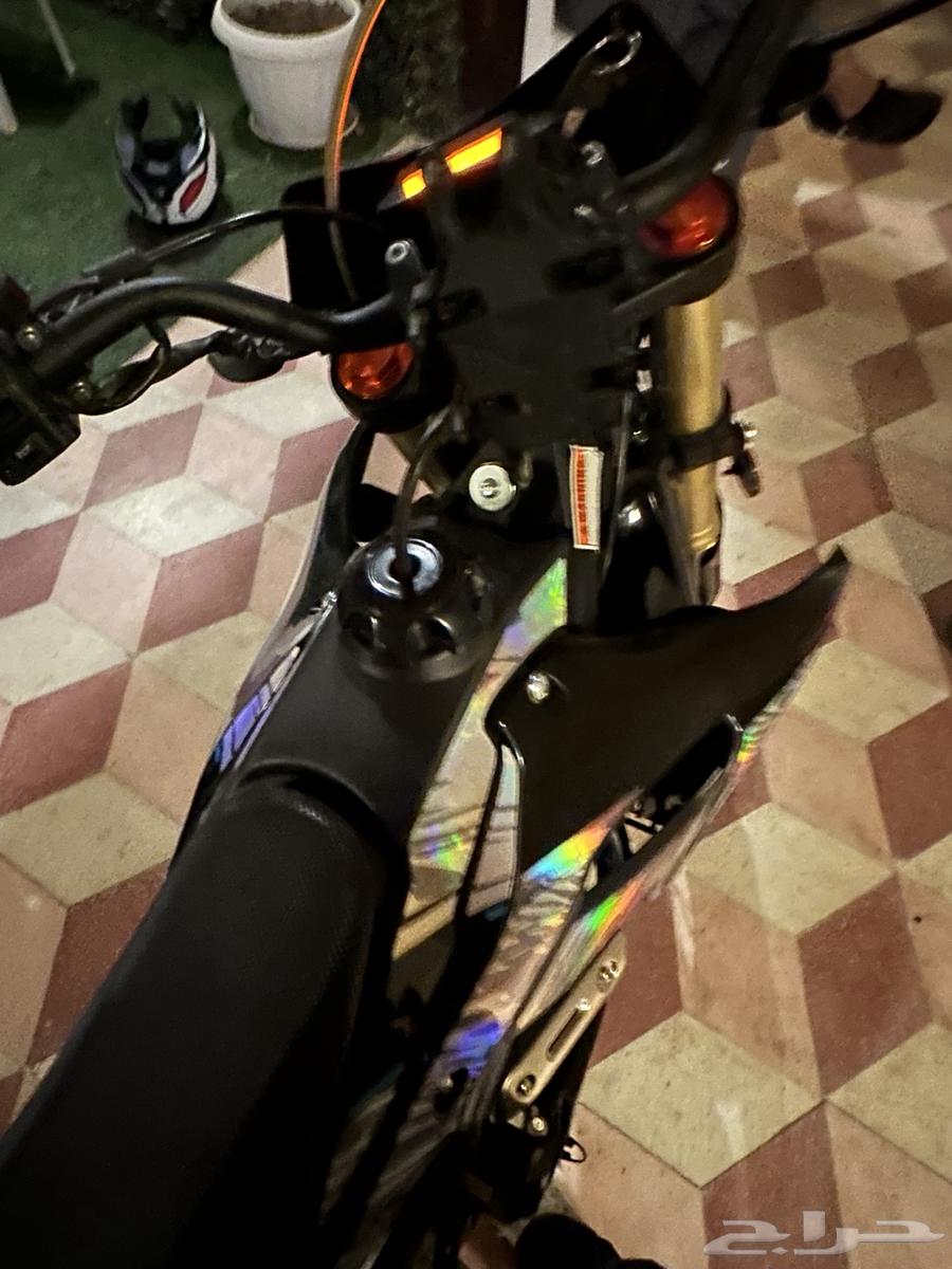 دباب صحراوي64419011648385112