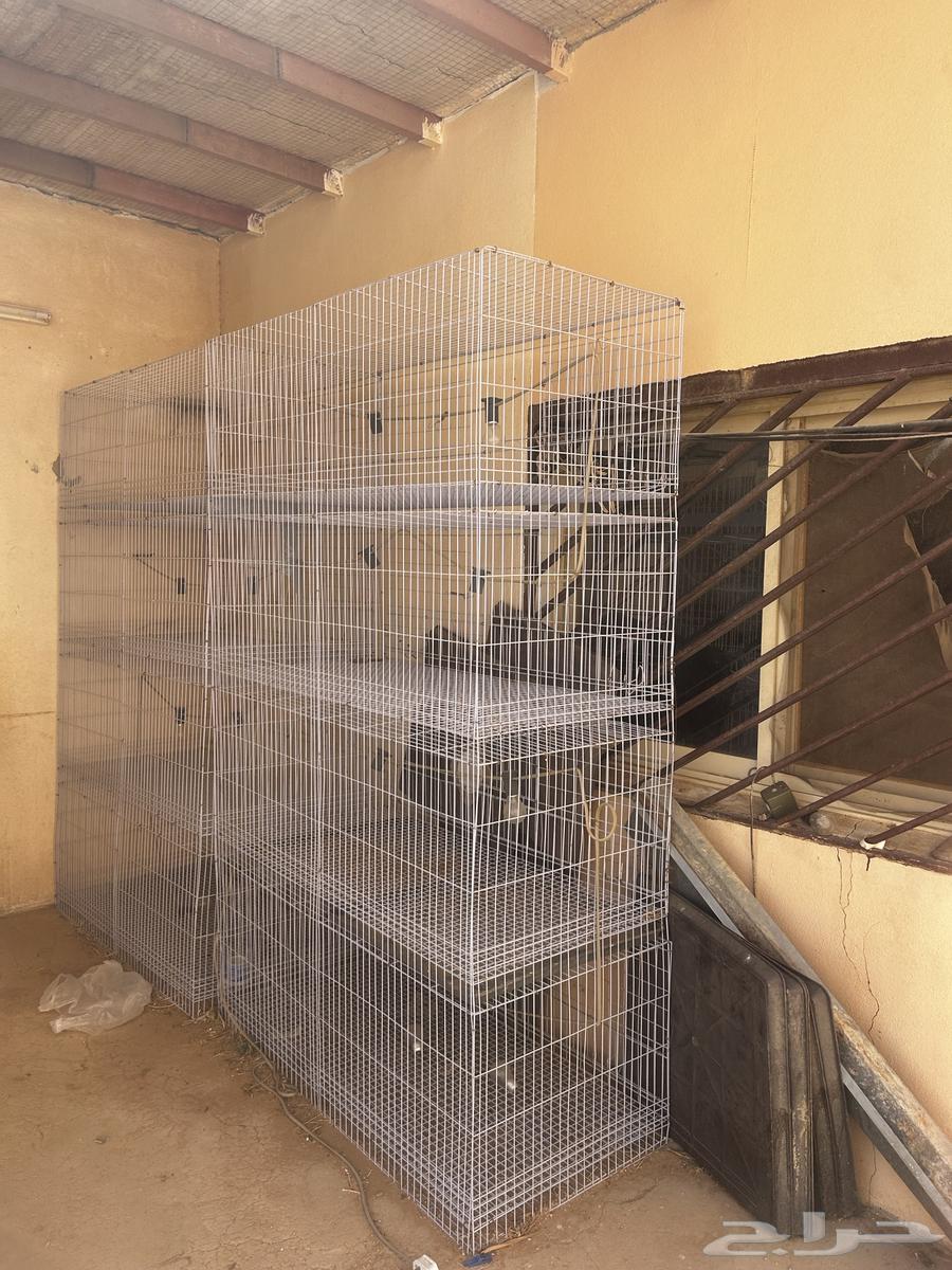 Incubator for sale with setters64242811936259113