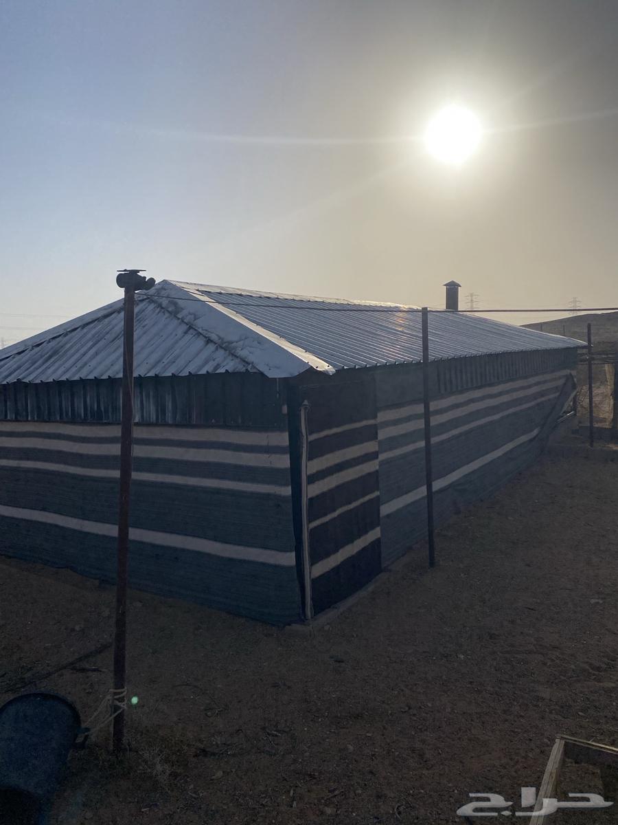 بيت شعر حديد64248093662466111