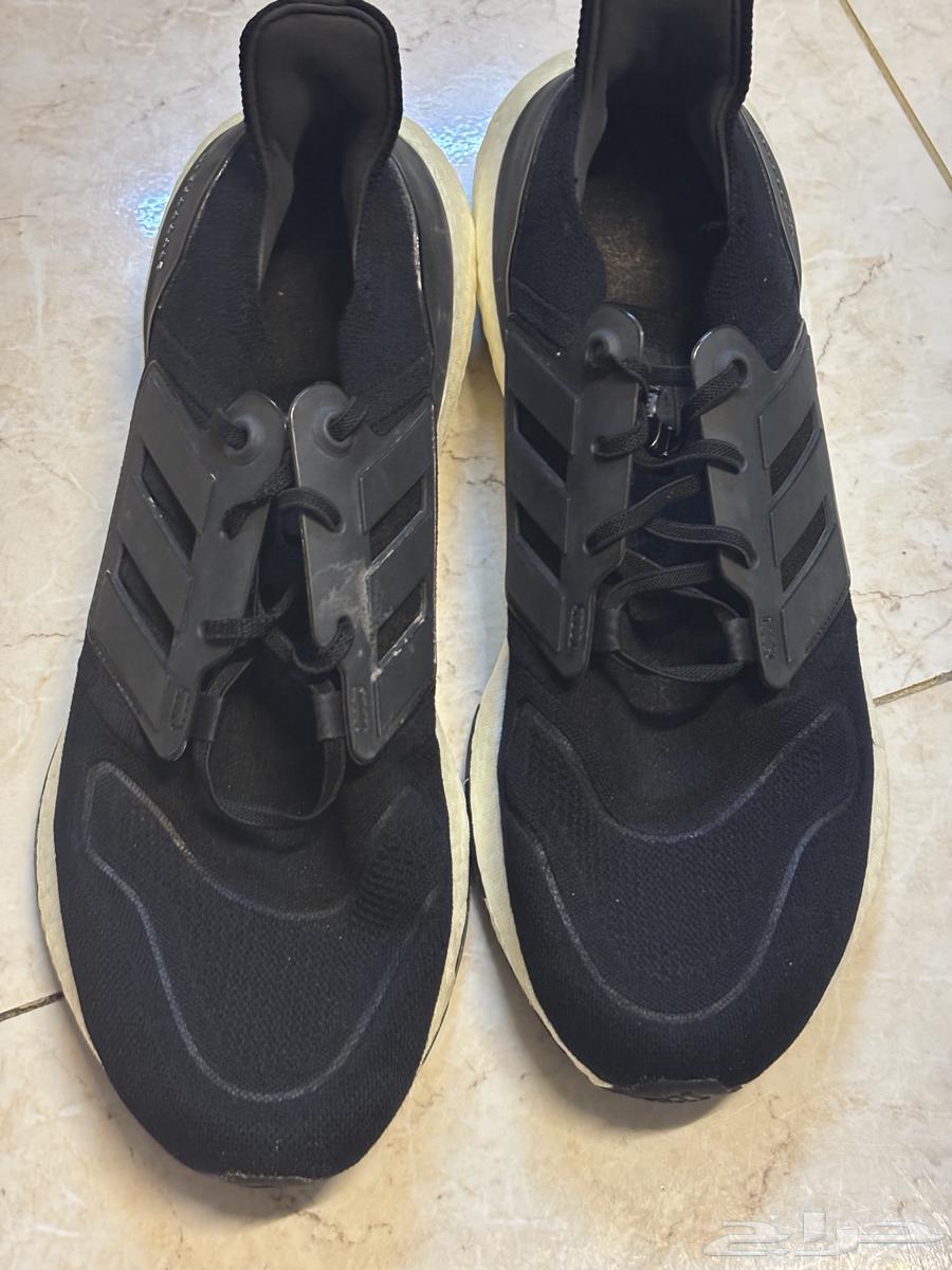 كنادر اديداس الترا بوست موديل 2264253913415041110