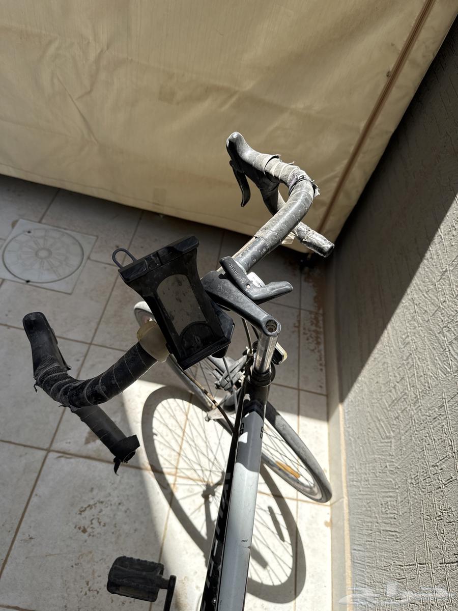 سيكل للبيع على السوم64242263947905112