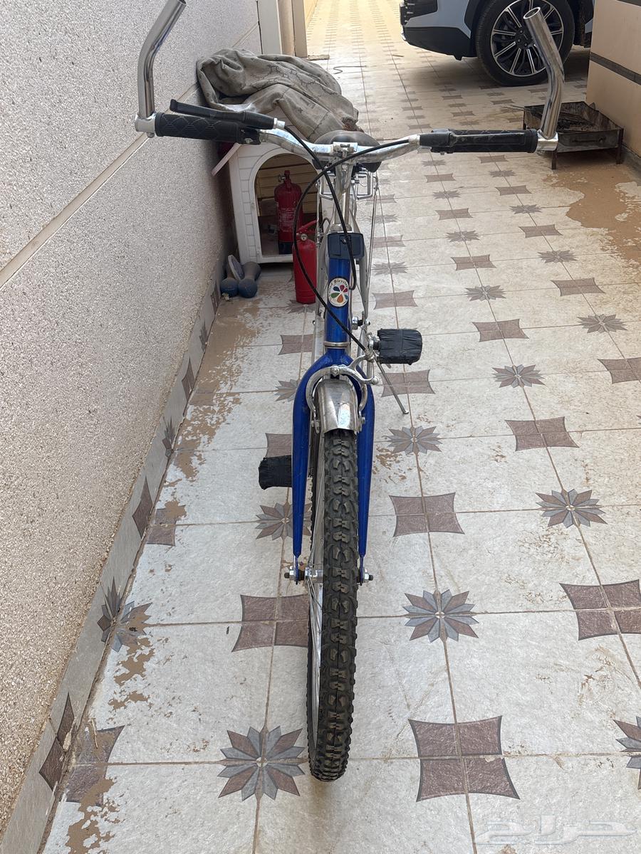 سيكل جبلي للبيع64238540942594113