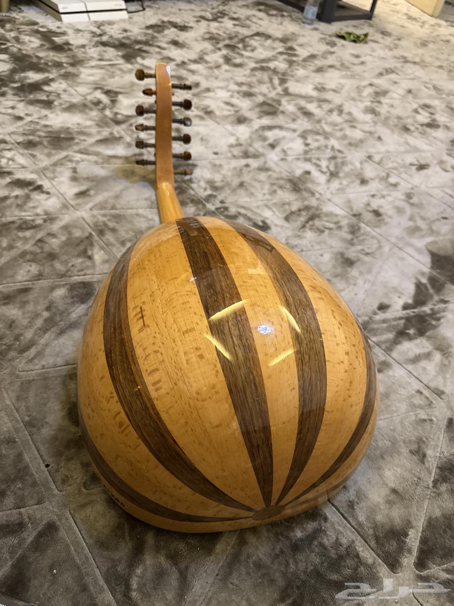 عود زرياب للبيع64249245113858111