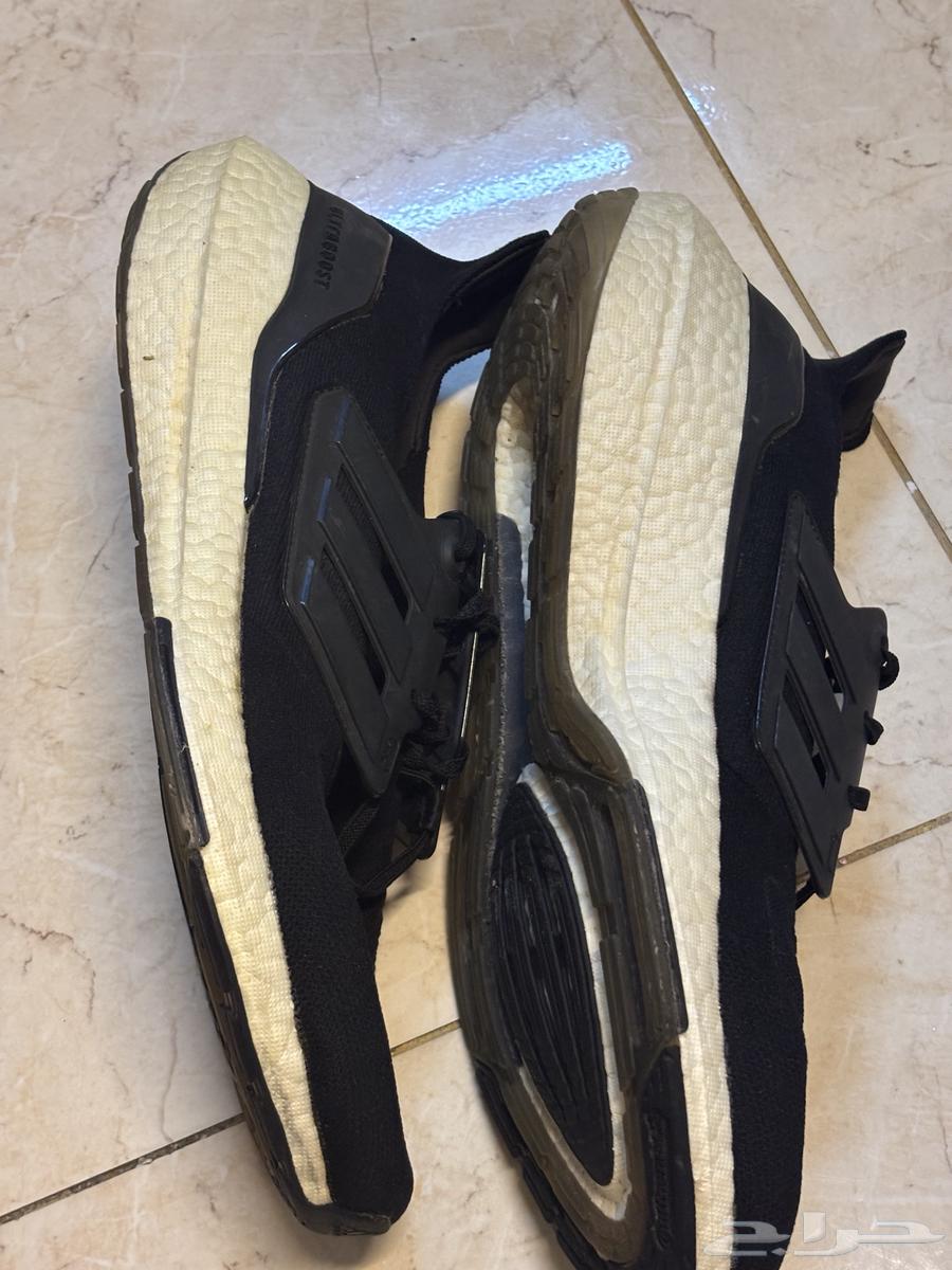 كنادر اديداس الترا بوست موديل 2264253913415041111