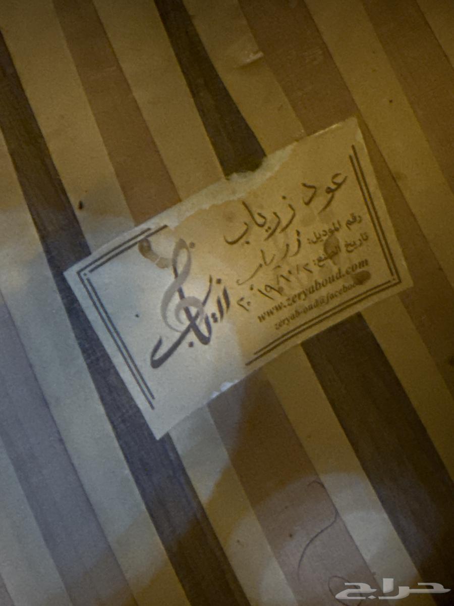 عود زرياب للبيع64249245113858112