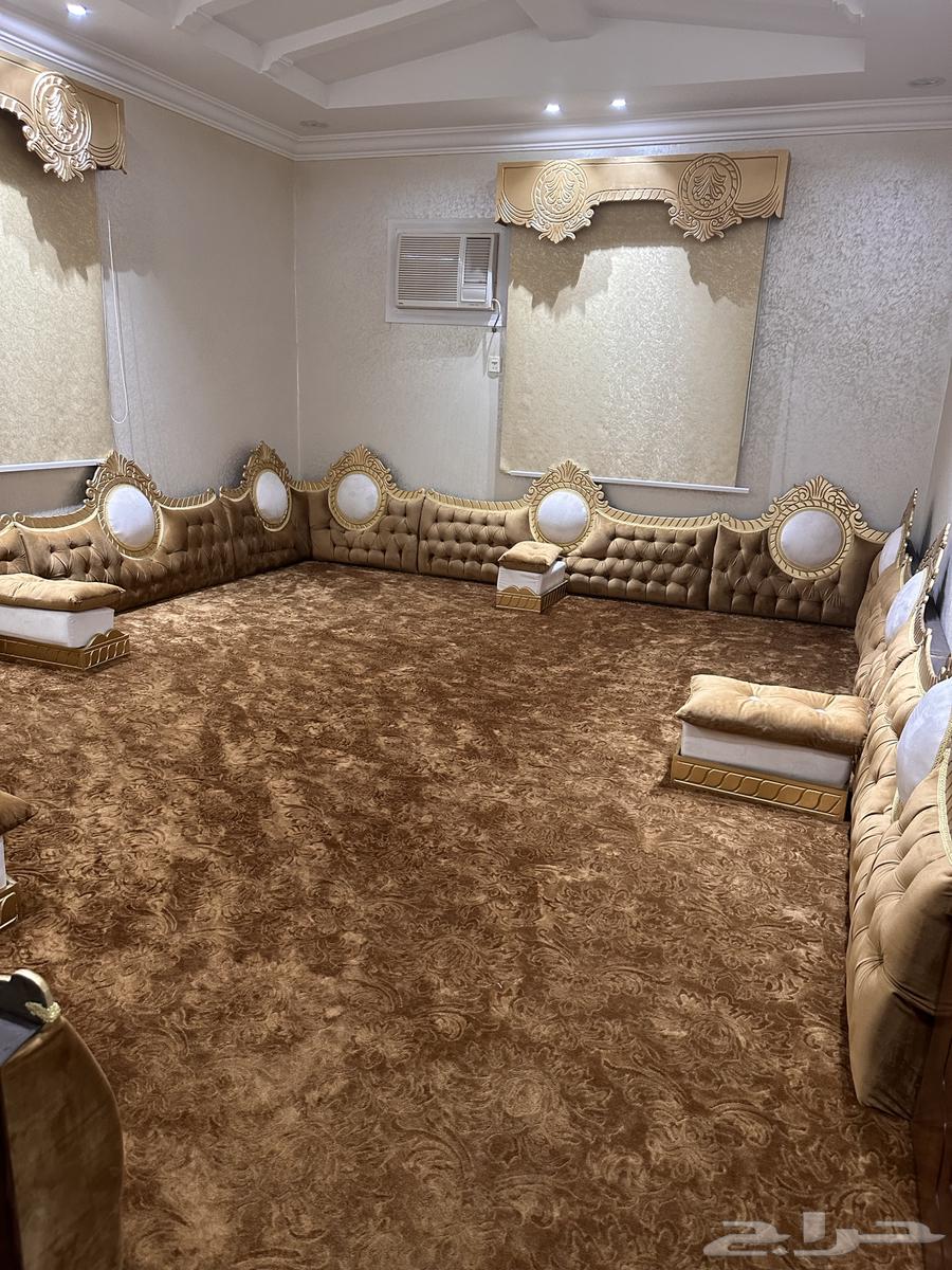 Council 5 in 464248697342338111