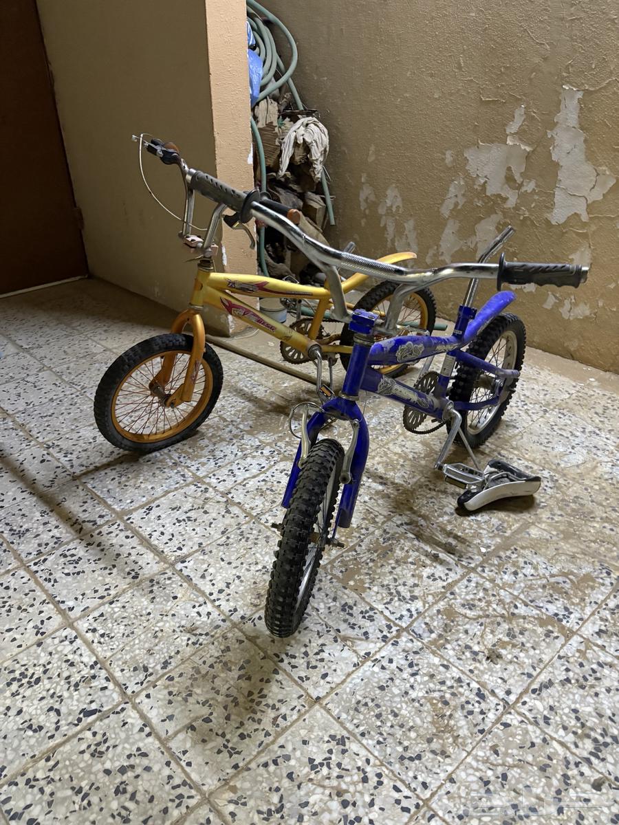 سيكلين للبيع64251544336385112