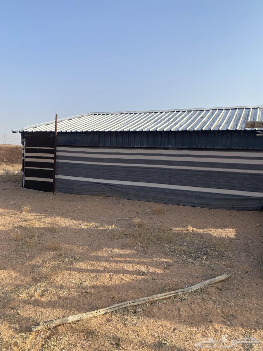 بيت شعر حديد64248093662466110