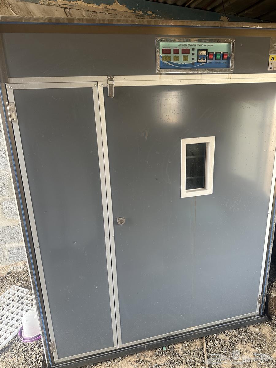 فقاسه عون المربي 1760 بيضه جديده ونظيفه ماستخدمت الا مرتين64251394204417110