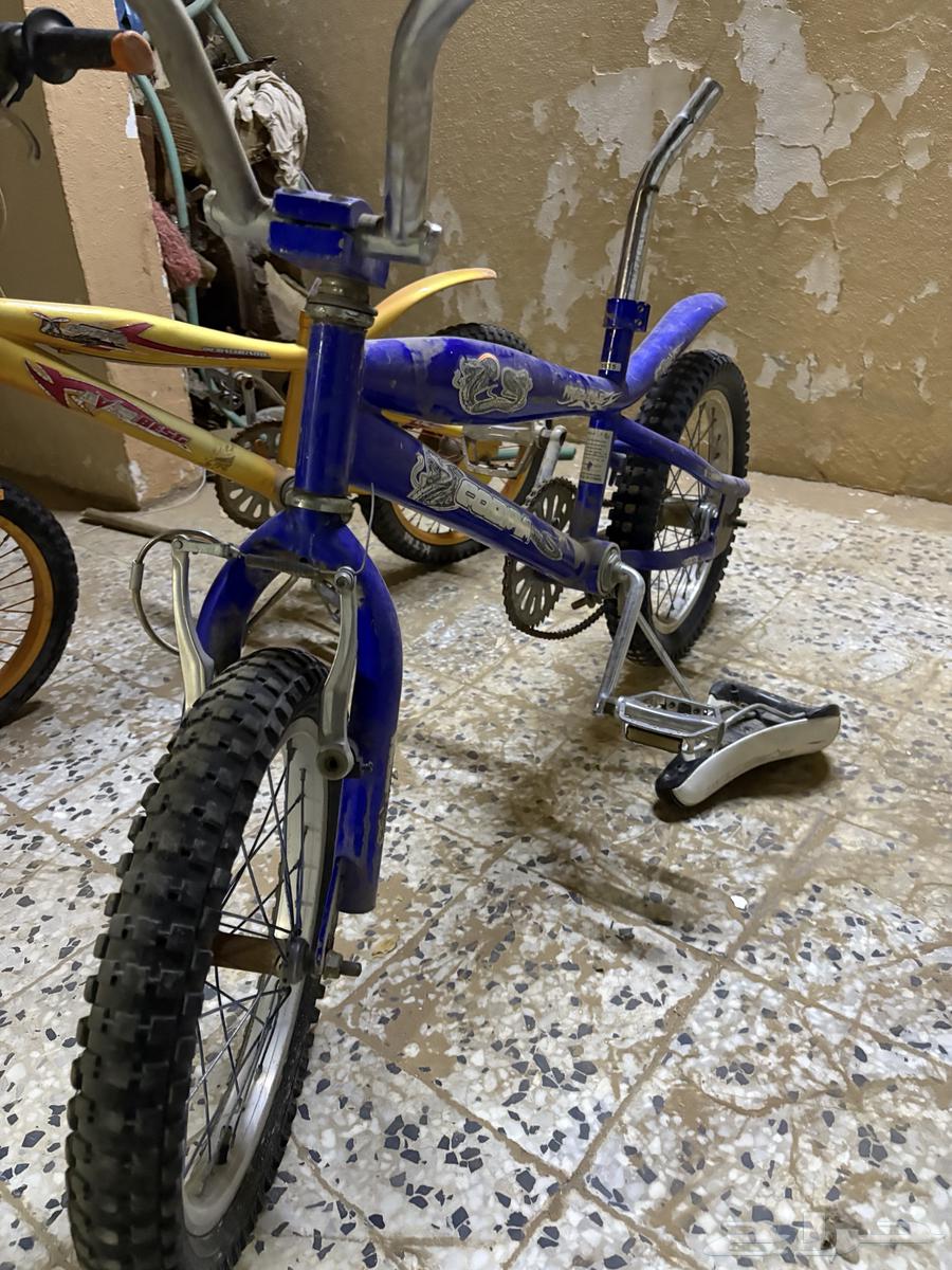 سيكلين للبيع64251544336385111