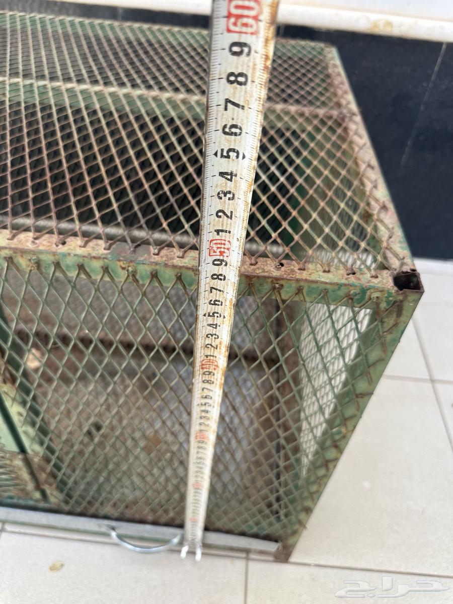 Small hole bird net64240726236419112