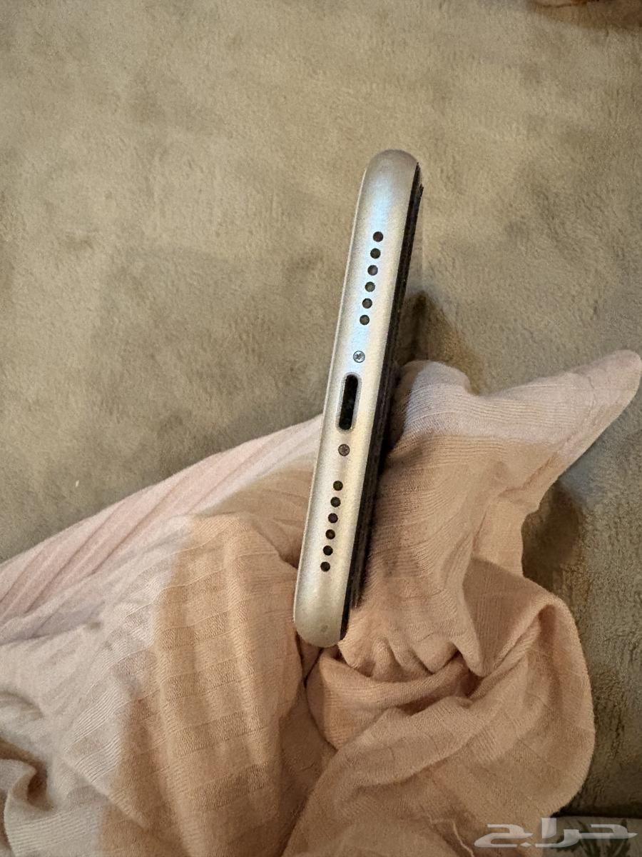 iPhone 11 Regular White Color64242629565826112