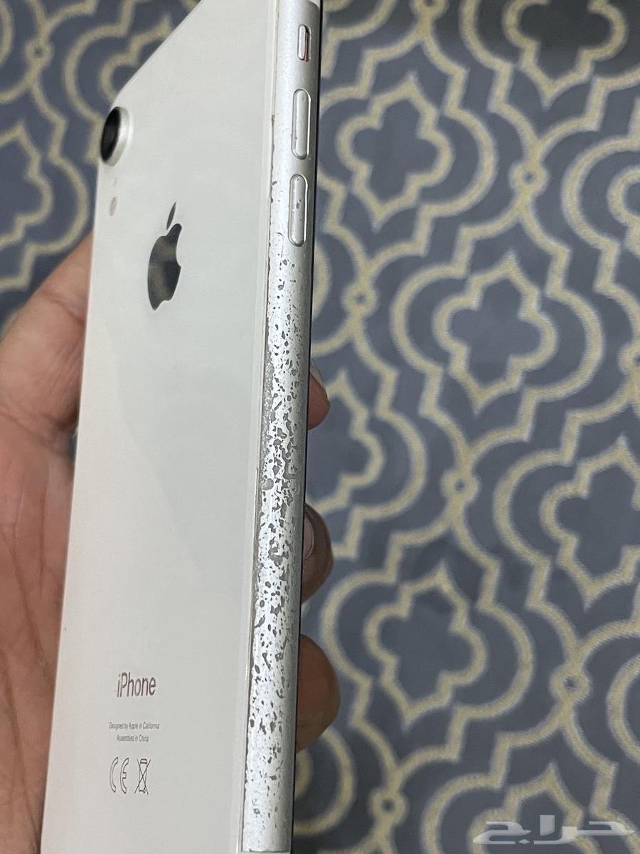 iPhone XR64232183867265114