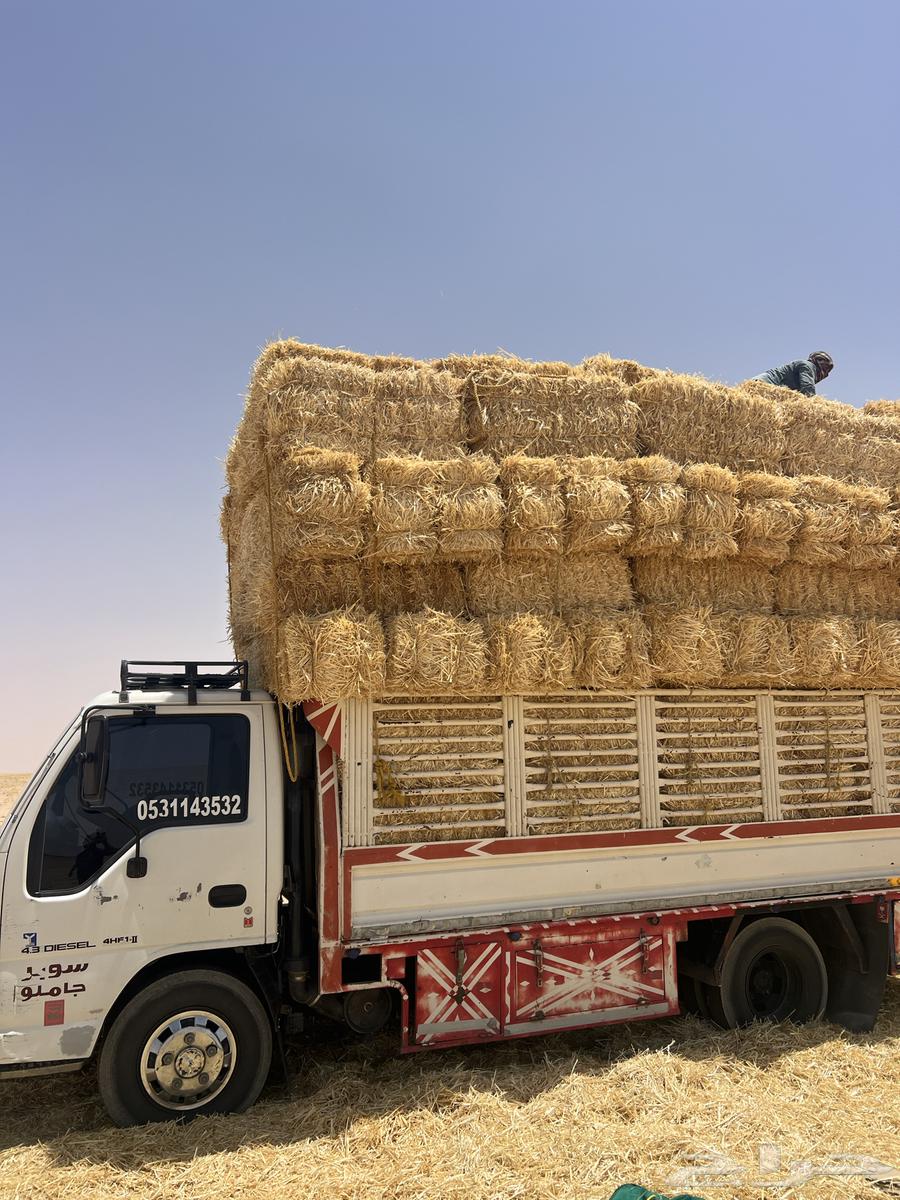 تبن بر ناعم64242629384065110