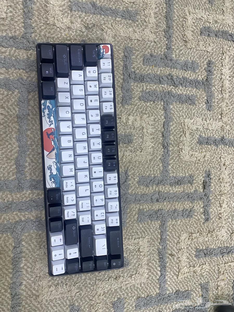 كيبورد للبيع64252314415617113