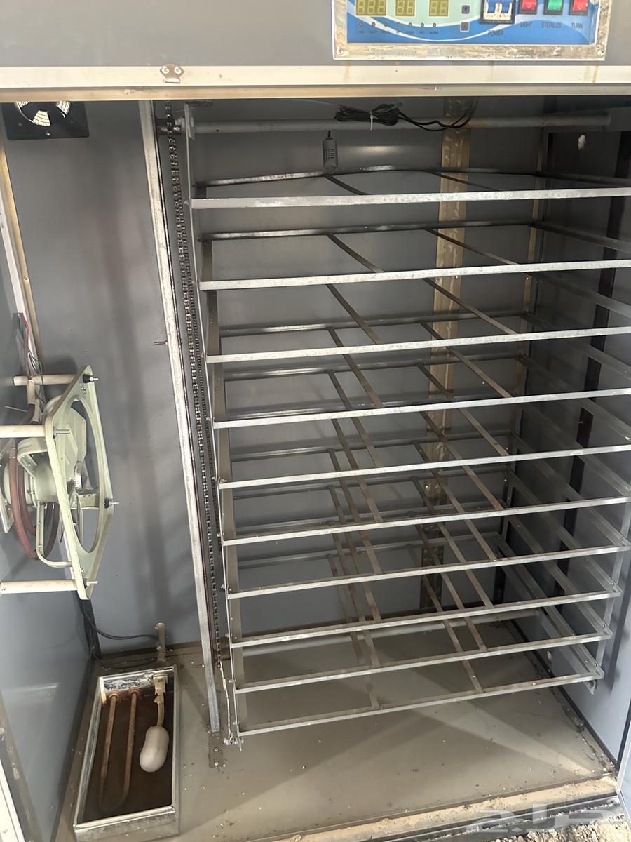 فقاسه عون المربي 1760 بيضه جديده ونظيفه ماستخدمت الا مرتين64251394204417111