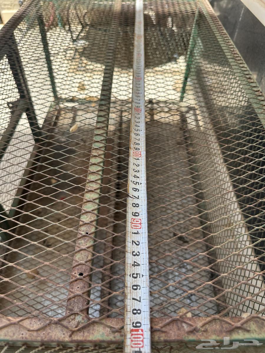 Small hole bird net64240726236419110