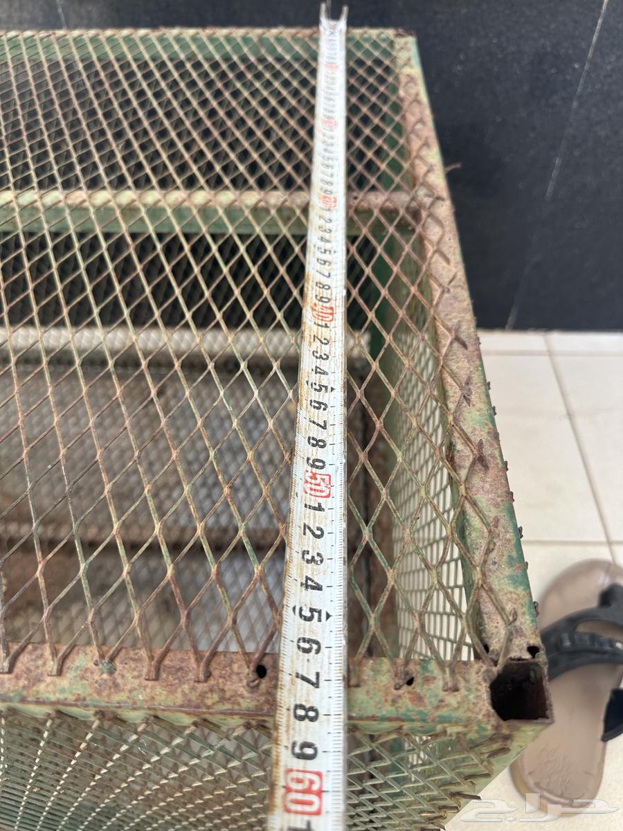 Small hole bird net64240726236419111