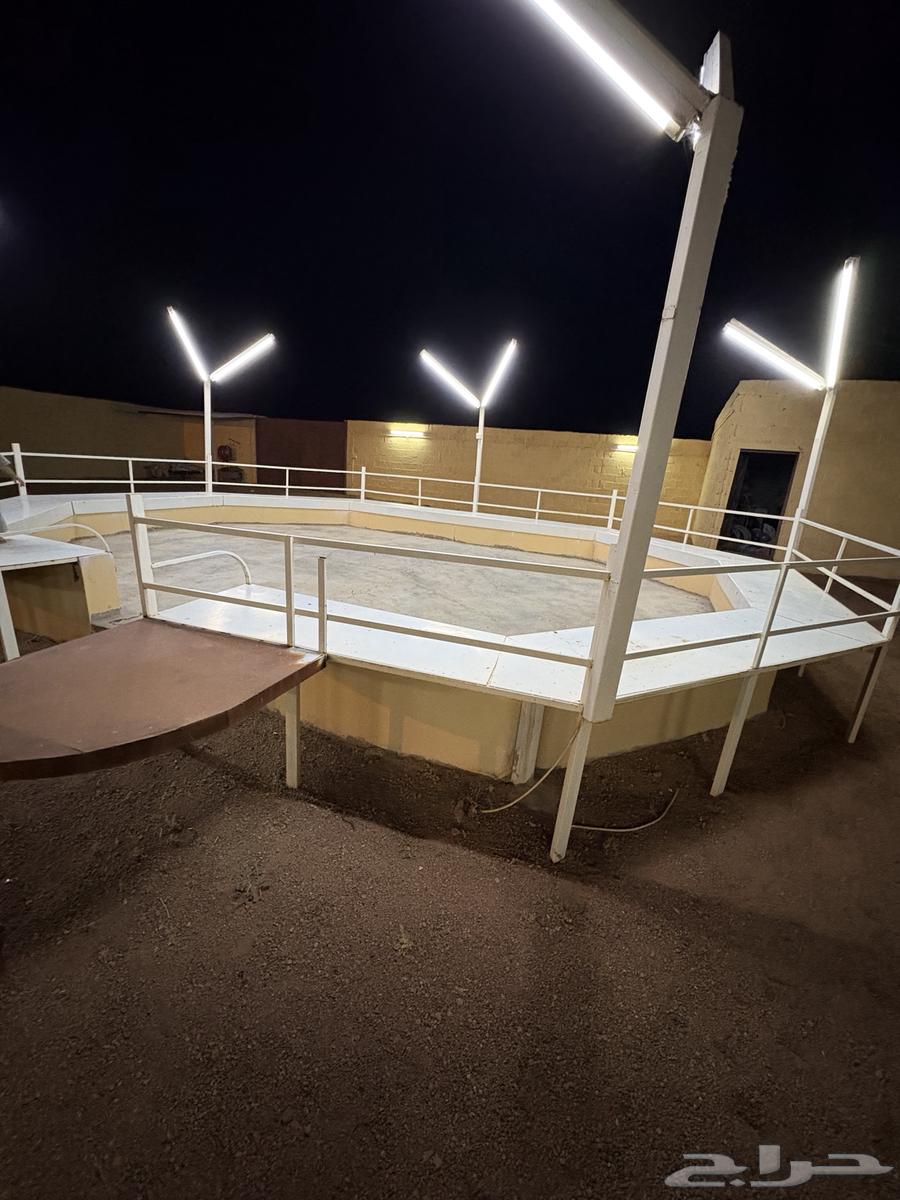 Sofa set, one piece64252023699073113