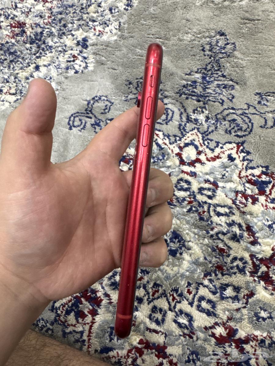 iPhone XR64234121217153111