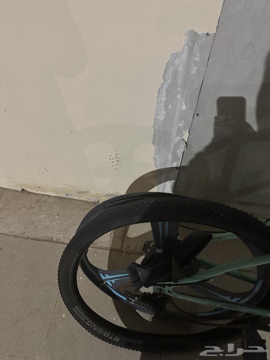 سياكل للبيع64255839902083113