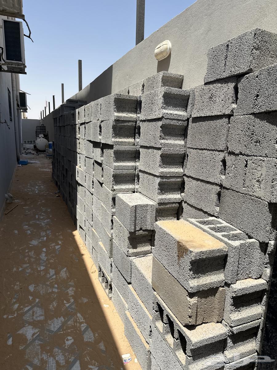 بلك عدد الف حبه64242455830658110