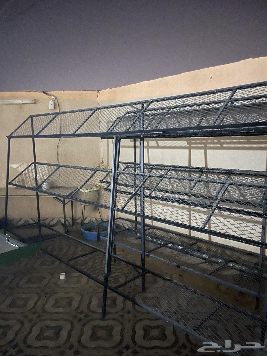 Vegetable and Date Shop Items64234284961282114