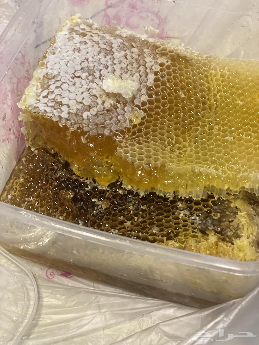 شمع نحل جديد توه واصل64250754291201114