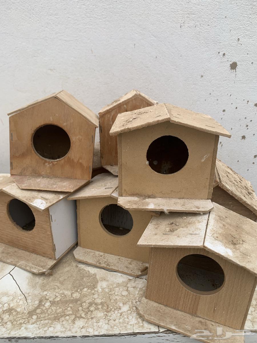 Zebra Nests Aqua and Pottery64250928217218111