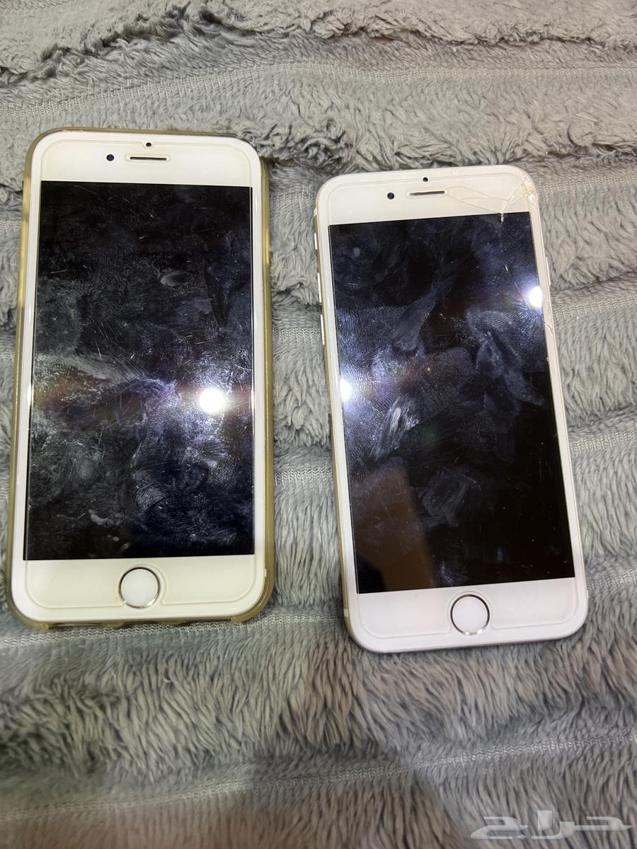 iPhone 664254244585603110