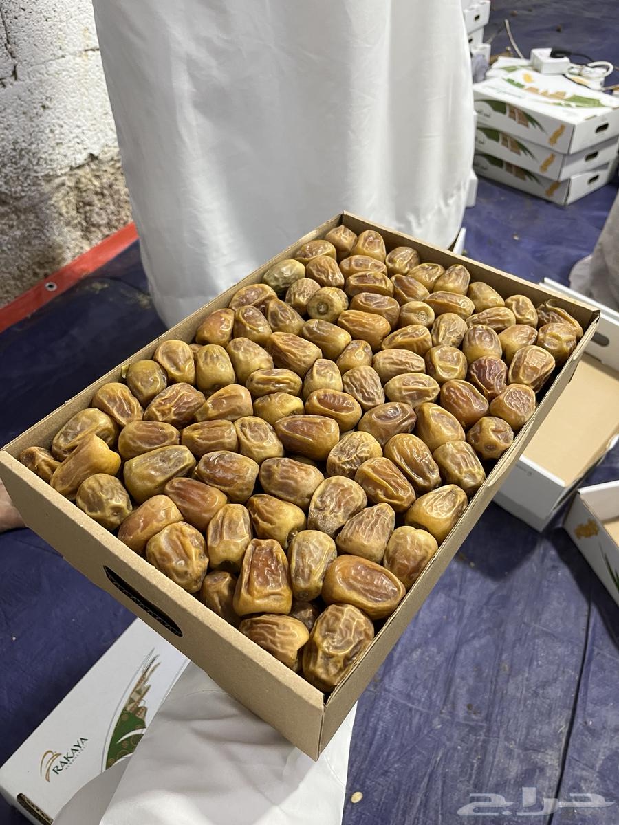 Premium Soft Sukkari Dates64251394139139113