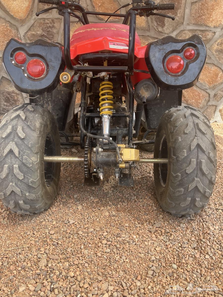 دباب للبيع64413904778627112