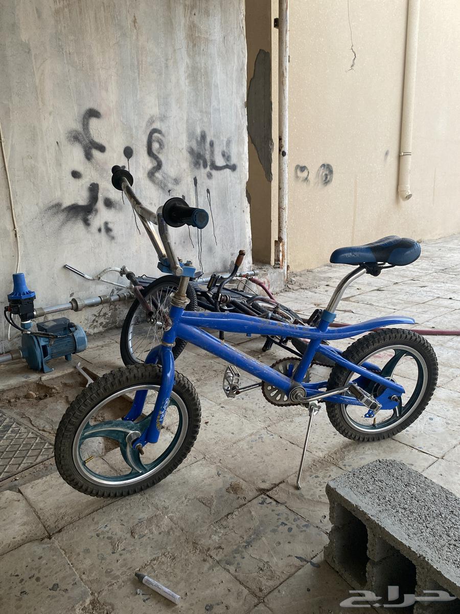 سيكل للبيع لايشكو من شي64249424812162110